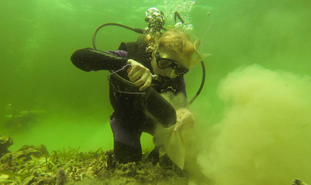 Erin Dillon collecting surface sediment samples from a modern coral reef. Credit: Sean Mattson