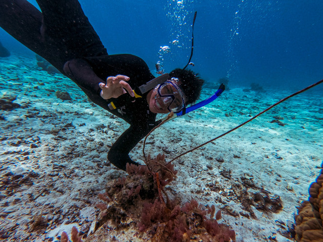 Hayden underwater